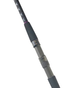 Caña Cinnetic EXPLORER BLACK PURPLE Sea Bass