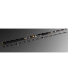 Caña Cinnetic RAYCAST XBR Sea Bass Light Game