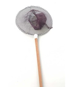 Quisquillera EVIA 243BIS