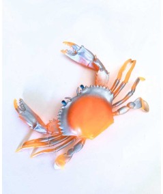 Cangrejo grande EVIA