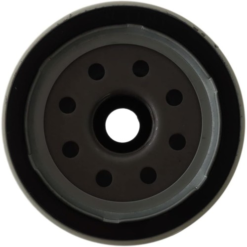 Recambio Filtro Decantador EASTERNER S3227